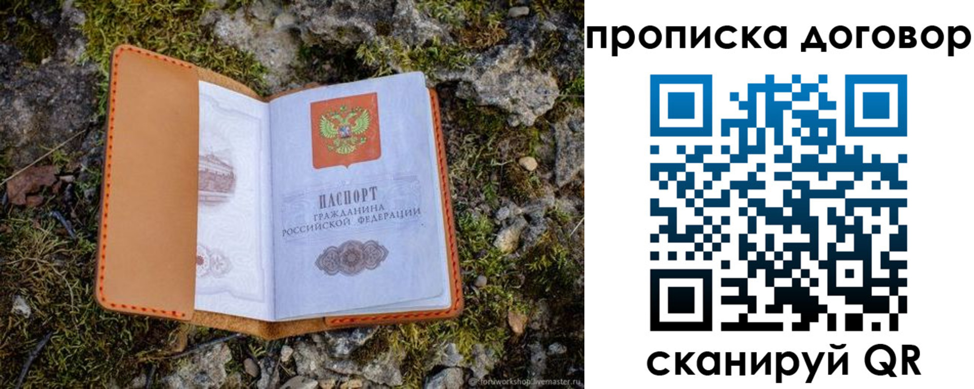 временная прописка в Королёве